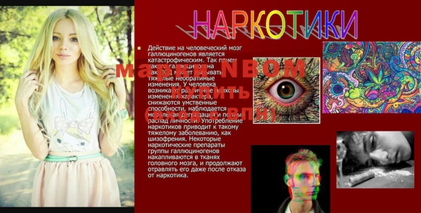 ПСИЛОЦИБИНОВЫЕ ГРИБЫ Лабытнанги