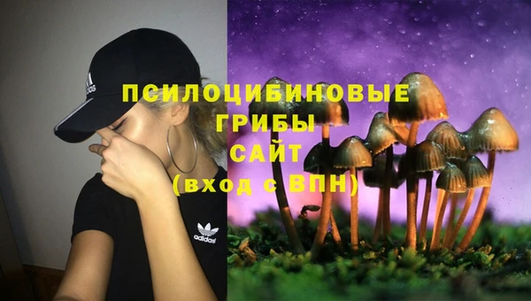 прущий лед Ладушкин