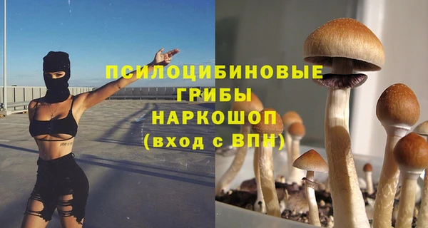 ПСИЛОЦИБИНОВЫЕ ГРИБЫ Лабытнанги