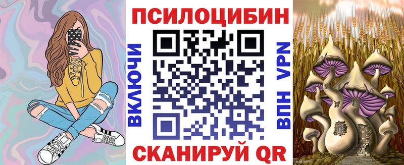 Галлюциногенные грибы Cubensis  Купить  Можга 